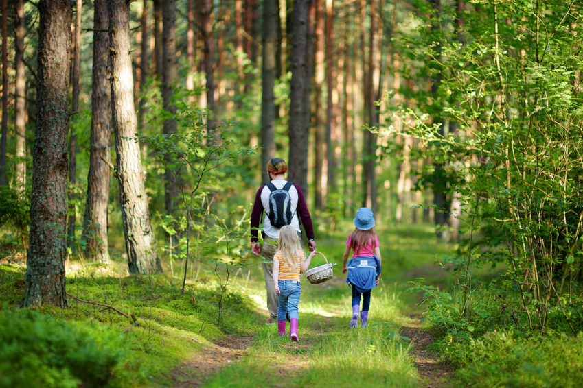 Familie im Wald