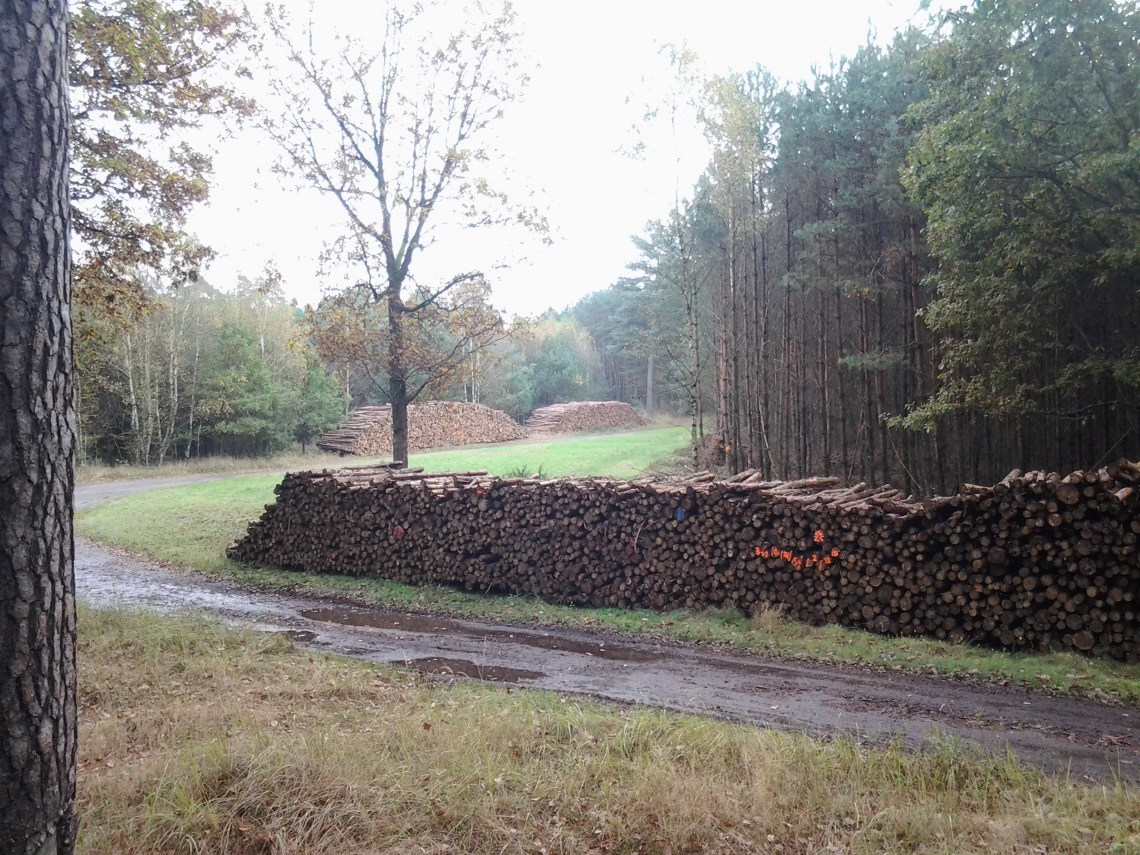 Holzpolter am Wegesrand