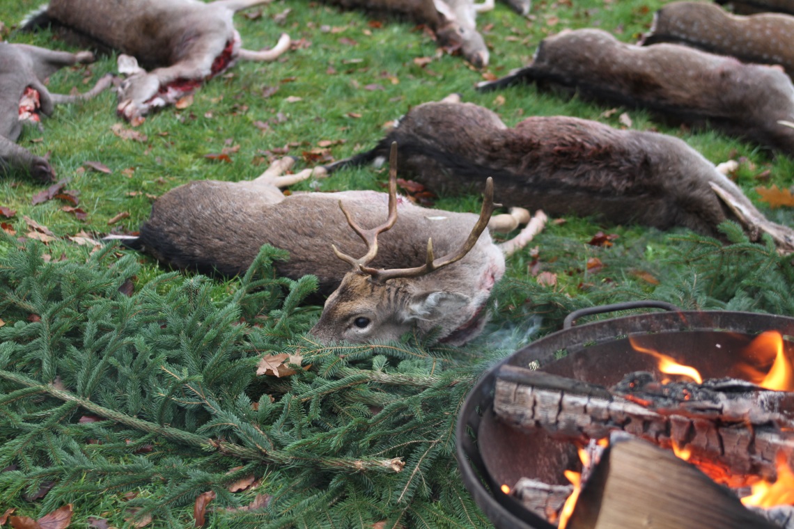 Bruchzeichen in der Jagd