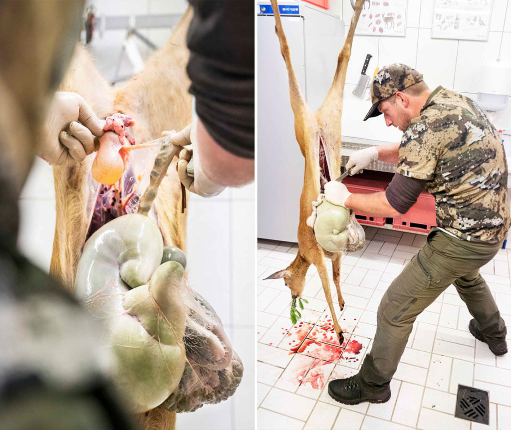 Rehwild aufbrechen in der Wildkammer