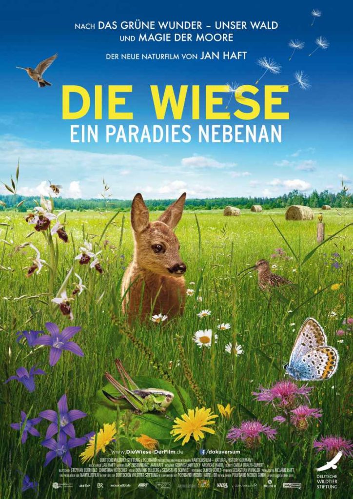 Kinoplakat: Die Wiese – ein Paradies nebenan