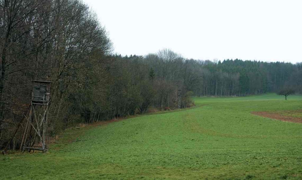 Hochsitz am Waldrand