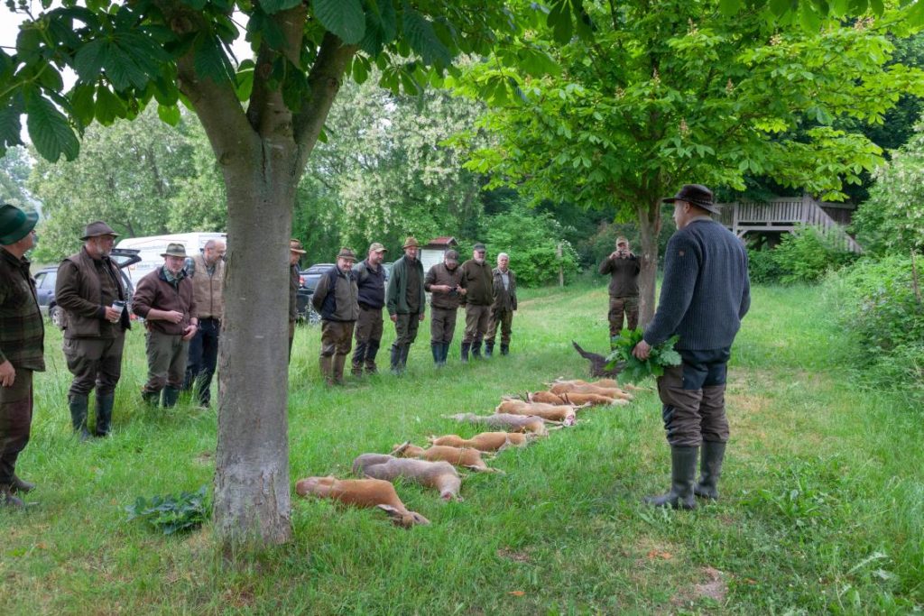 Sammelansitz auf Rehwild