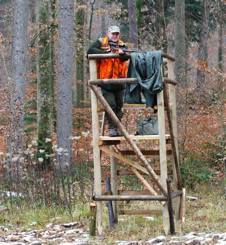 Jäger auf Hochsitz (©S.Ott/piclease)