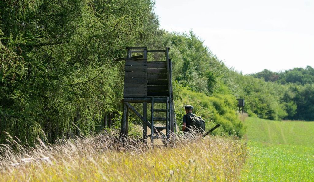 Ansitz am Waldrand